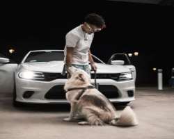 His dog often appears in his Instagram post.